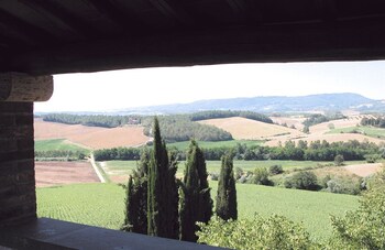 cetona