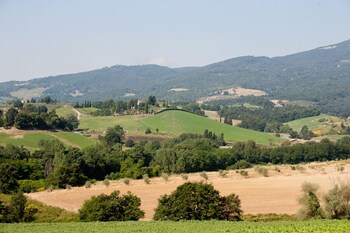 cetona