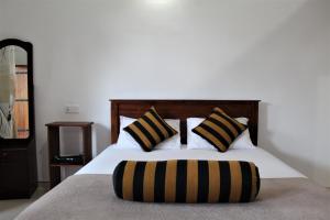 amado homestay ella