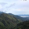 amado homestay ella