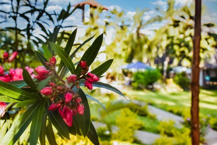 diani beach