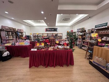 merlene suites at mansion one