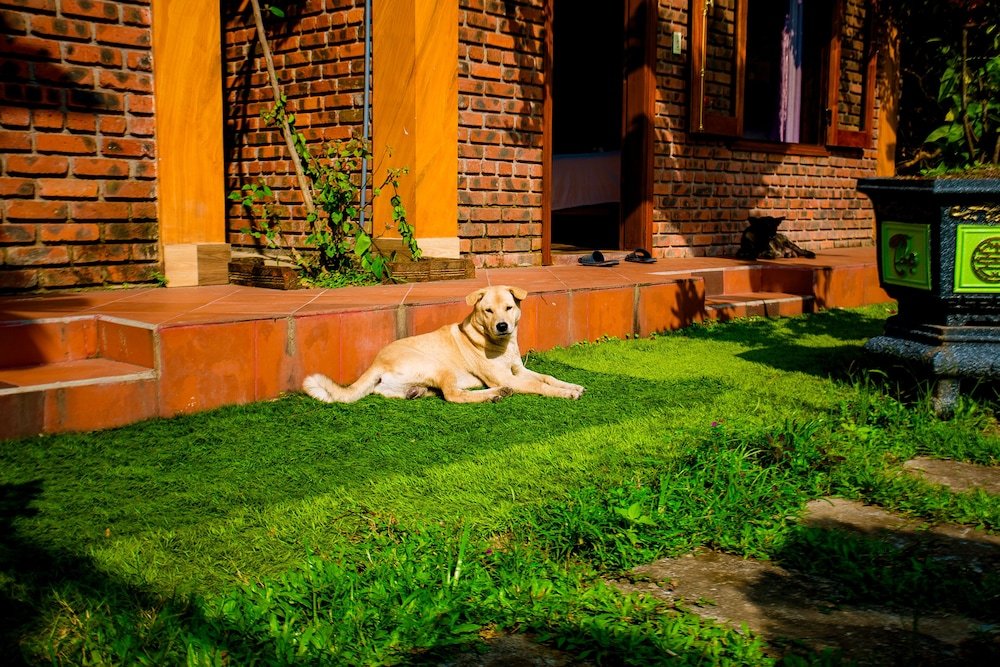 phong nha hillside view bungalow