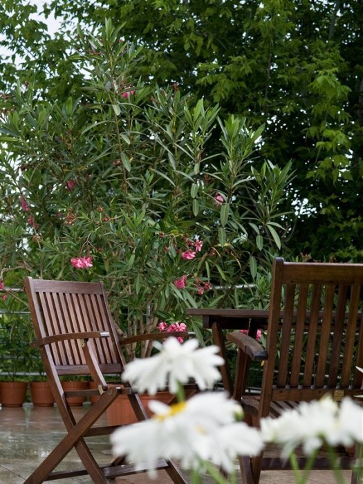 jagello hotel