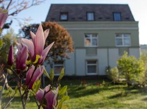 jagello hotel