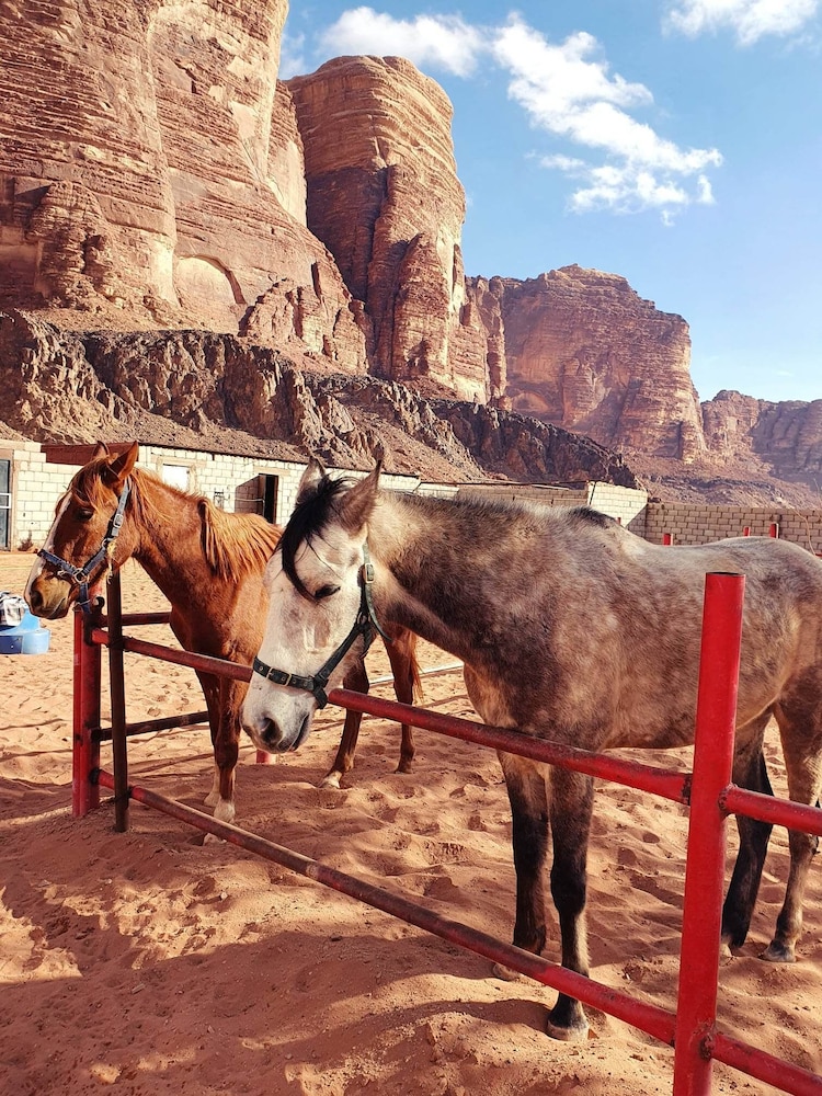 wadi rum wanderlust camp