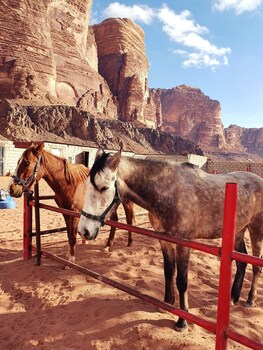 Wadi Rum Wanderlust Camp,Jordan>>Wadi Rum,3 star