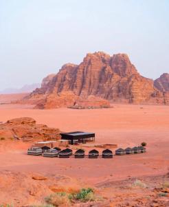 wadi rum wanderlust camp