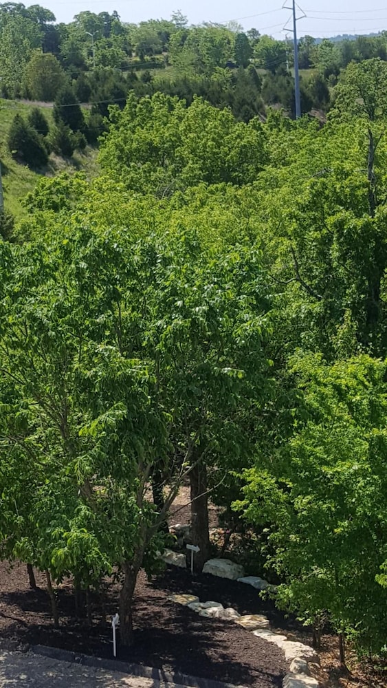 the park at foxborough resort