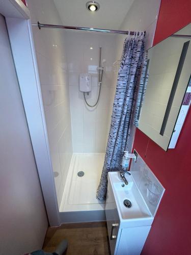 the lyndhurst guest house