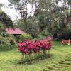 Palm Era Resorts,Kushalnagar>>Kodagu,3 star