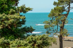 kolkhida resort and spa