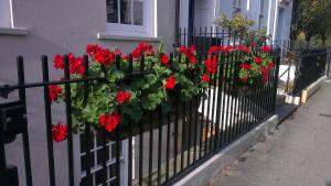 1 bed below deck by pureserviced