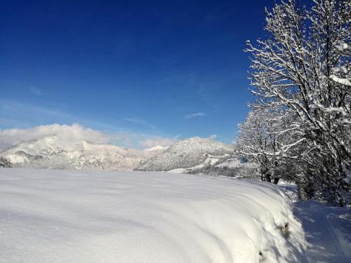 reith im alpbachtal