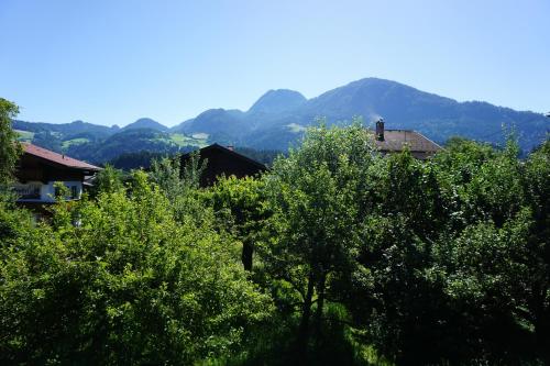 reith im alpbachtal