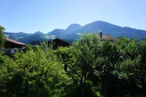 reith im alpbachtal