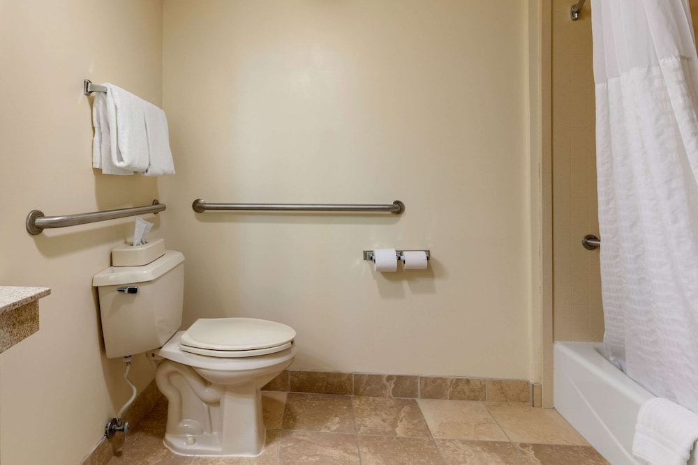 comfort inn downtown