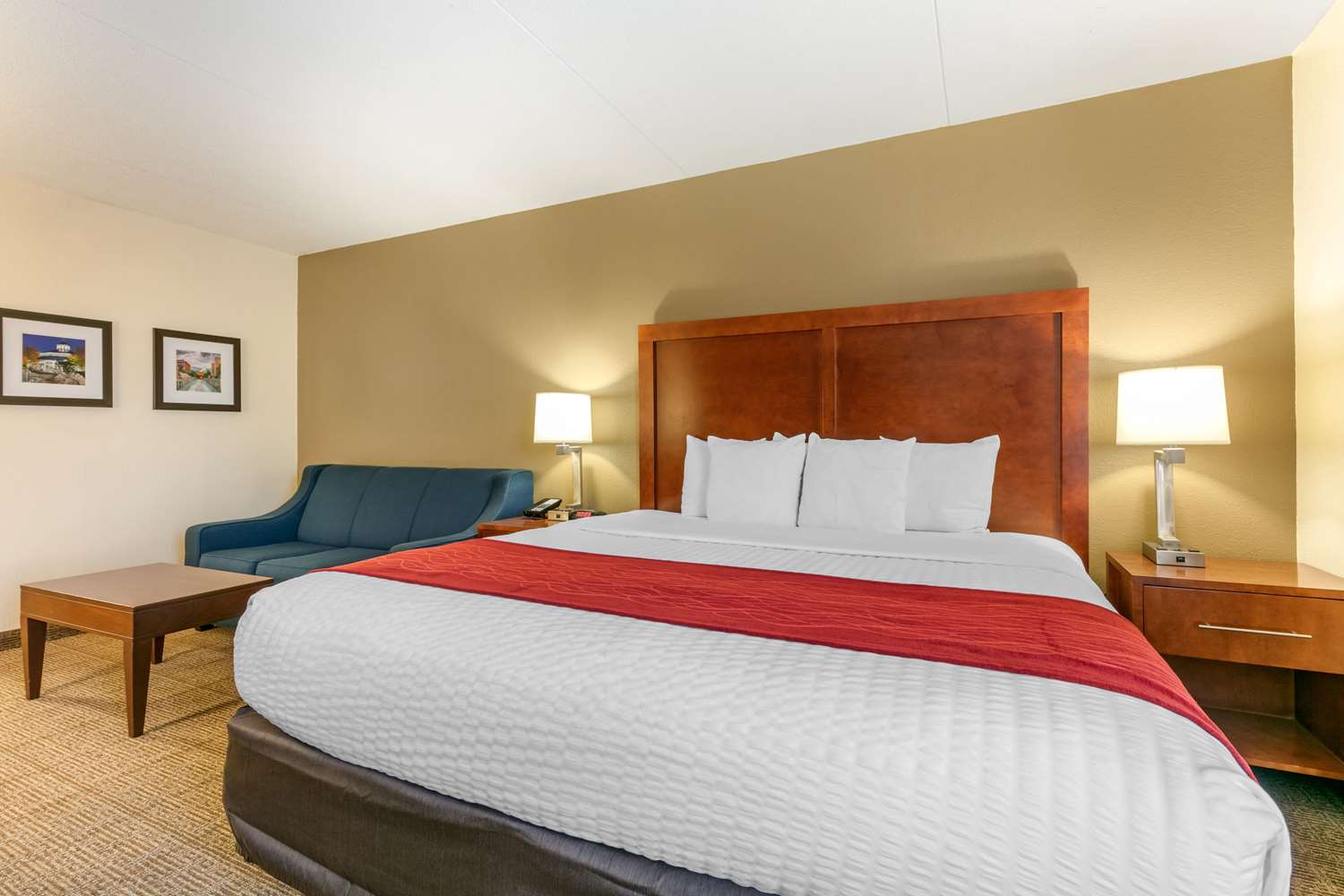 comfort inn downtown