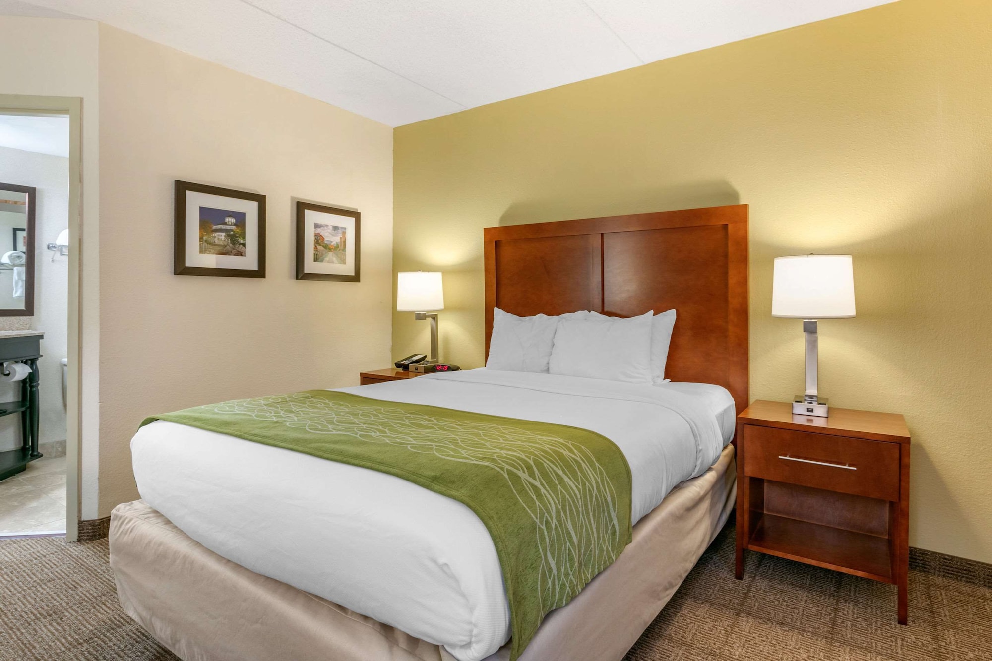 comfort inn downtown