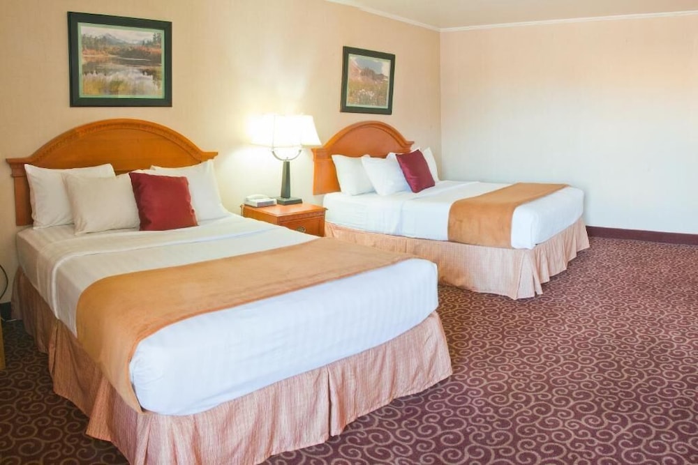 red arrow inn and suites