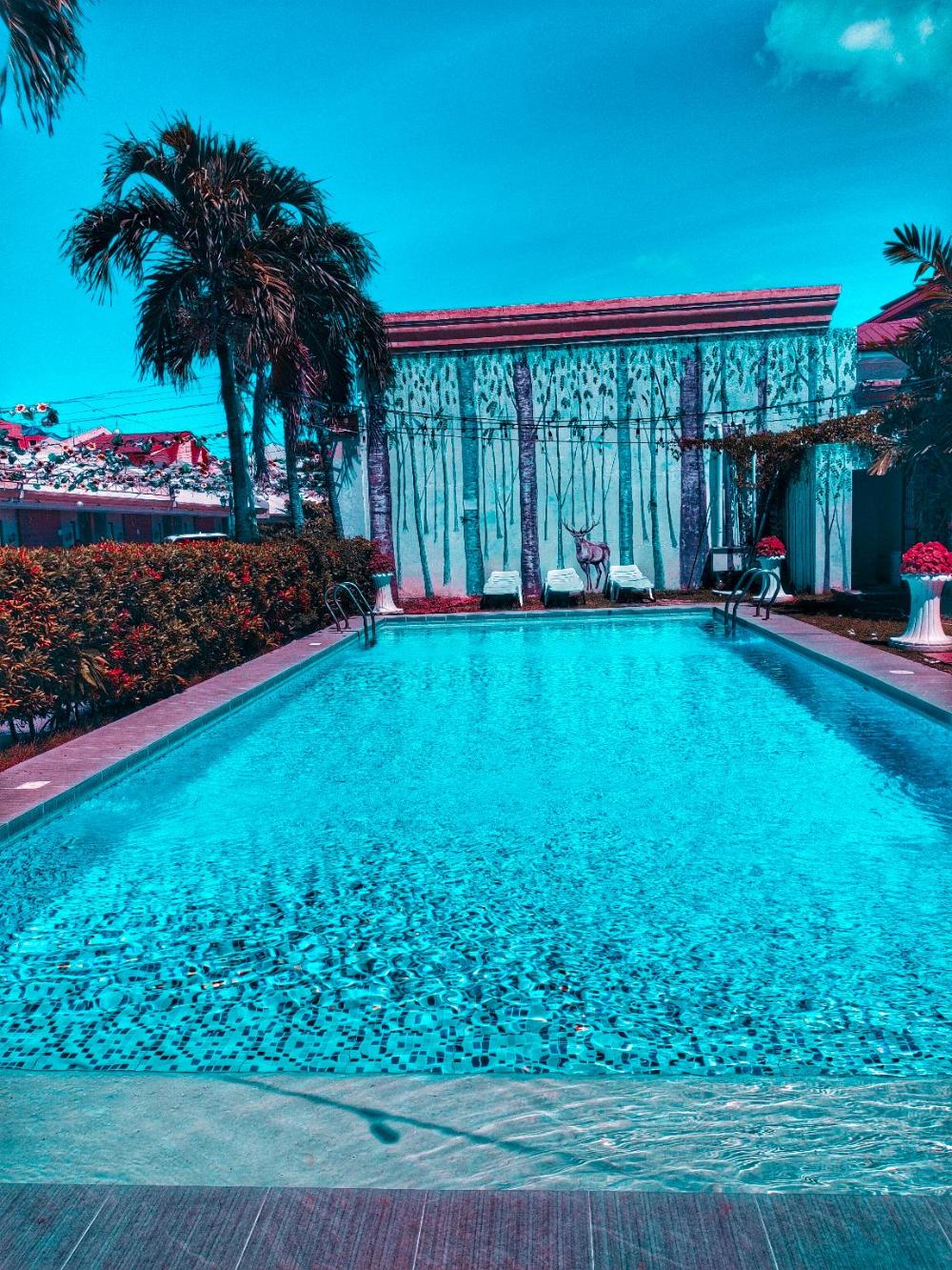 s and m hotel inc