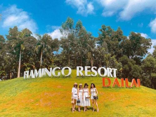 flamingo villa owner villa in vinh phuc