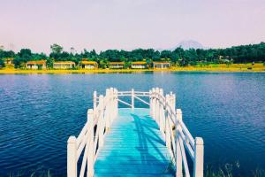 flamingo villa owner villa in vinh phuc