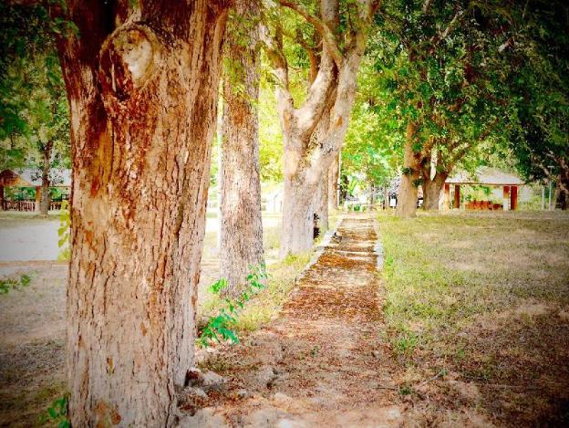 the creek garden resort huainamrin resort