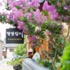 star rest hanok