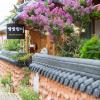 star rest hanok