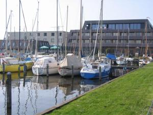 lemmer