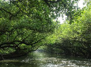 tainan old street bed and breakfast