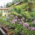 il sogno bellagio