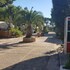 favignana