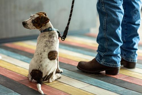 motel 6 houston tx i 10 west