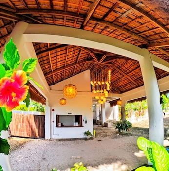 divers lodge moalboal