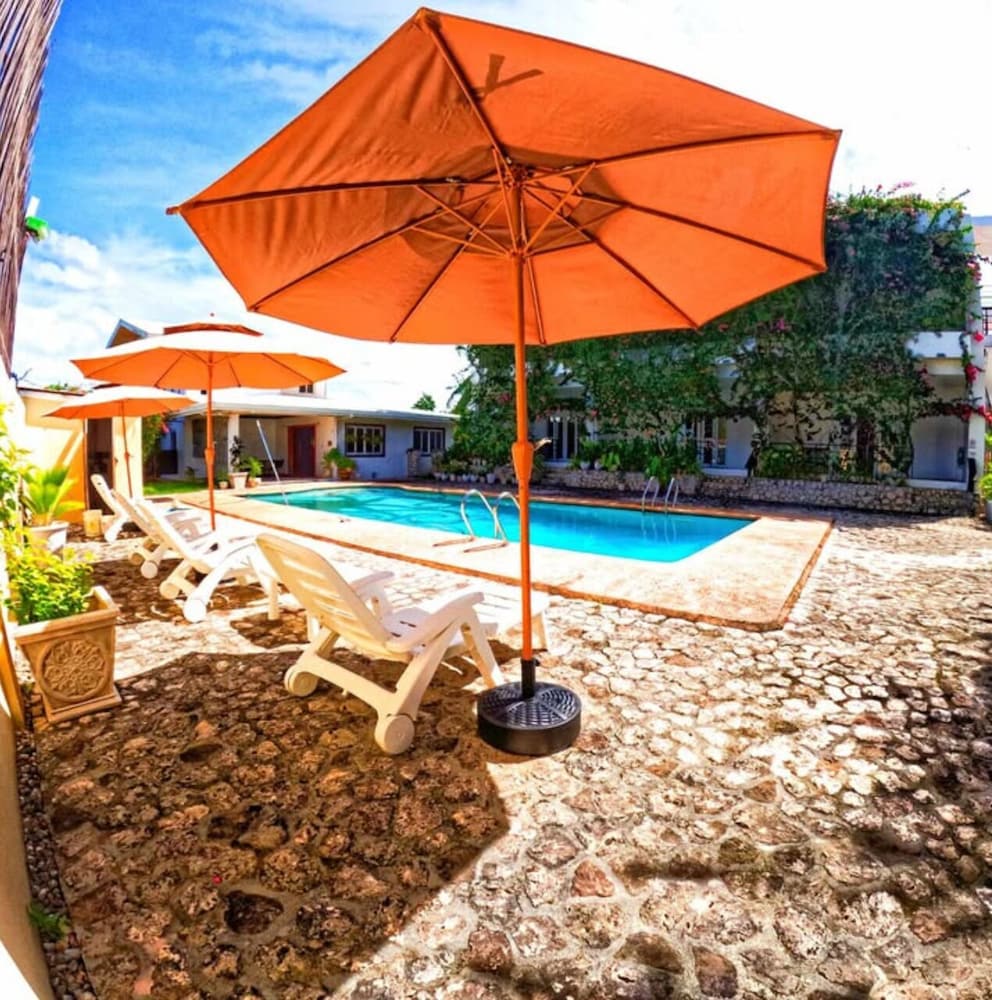 divers lodge moalboal