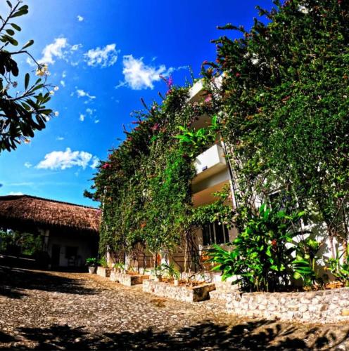 divers lodge moalboal