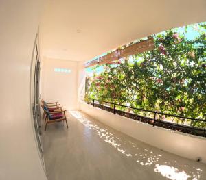 divers lodge moalboal