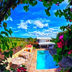 divers lodge moalboal