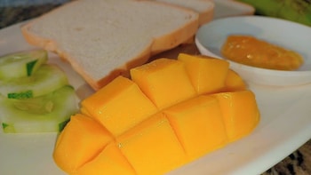 divers lodge moalboal