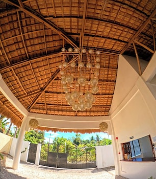 divers lodge moalboal