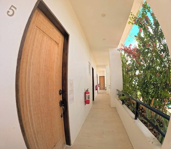 divers lodge moalboal