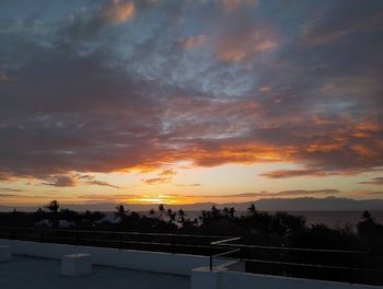 divers lodge moalboal