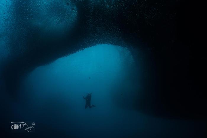 divers lodge moalboal