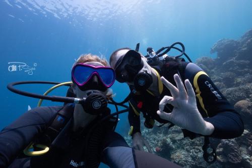 divers lodge moalboal