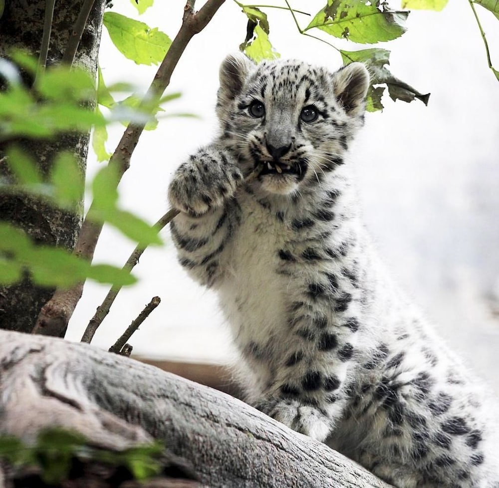 mercure hotel stuttgart zuffenhausen