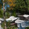 secret oasis ibiza
