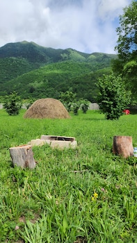 guest house ushba gate
