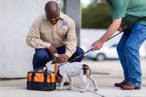 scottish inn mcdonough